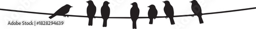 Black silhouettes of eight birds perched on a thin wire