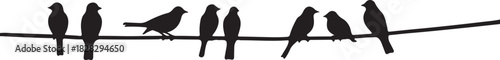 Black silhouettes of nine birds perched on a wire vector