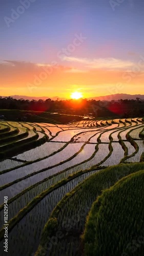 Wallpaper Mural Sunset over rice terraces landscape natural environment golden hour rural scene Torontodigital.ca