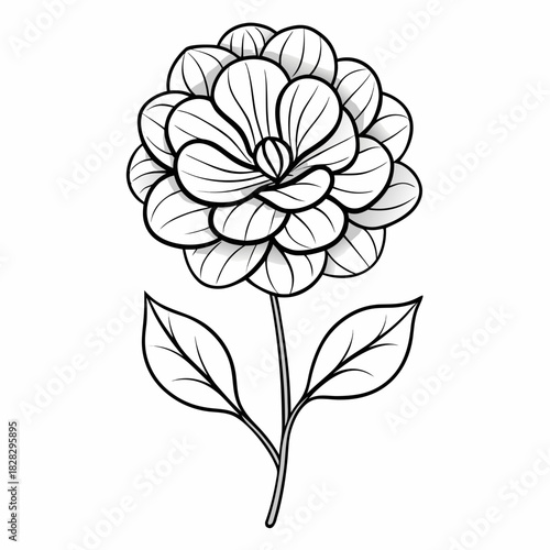 vector illustration of a penny black flower line art