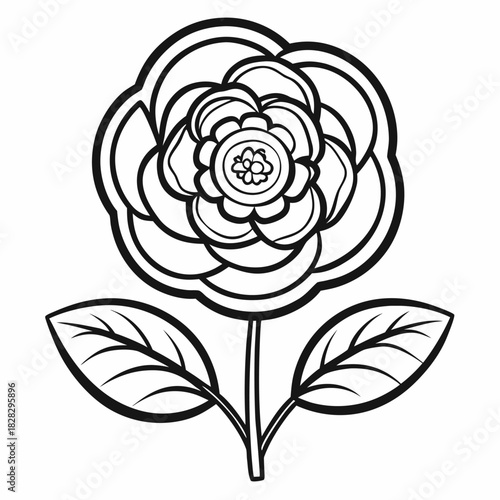 black and white flower