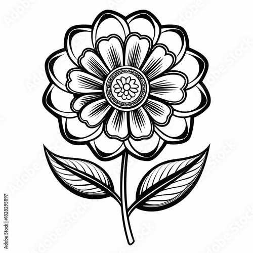 penny flower line art on white background