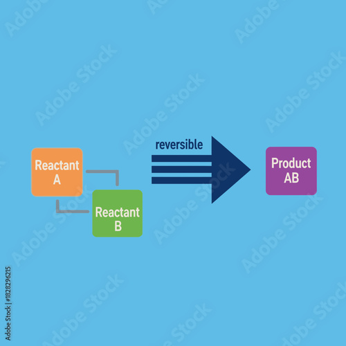 Two reactants combine to form a product via a reversible reaction.