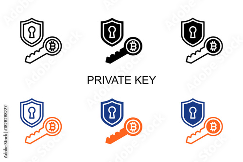 Private Key Icon Multi Style Vector Illustration