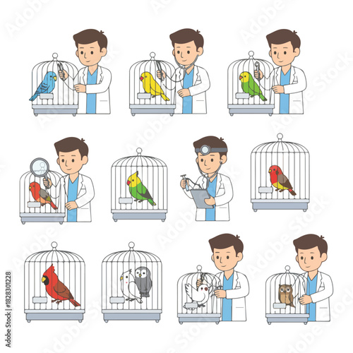 Veterinarian examining birds in cages