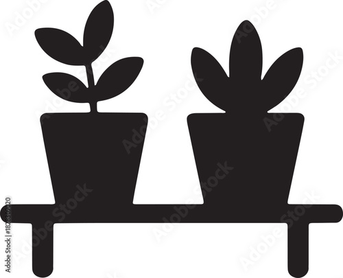House Plants on Shelf or Pot With Decorative Plants for Home Decoration