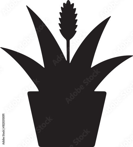 Silhouette of aloe houseplant with succulent leaves in pot for home interior