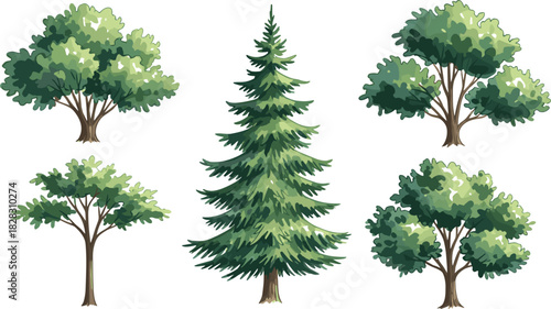 Collection of six stylized trees including conifer and deciduous types, ideal for nature, forest, landscape, and educational vector design.