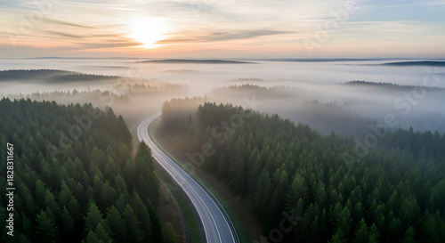 Foggy Forest Road Aerial: Scenic Drive Through Evergreen Trees at Sunrise