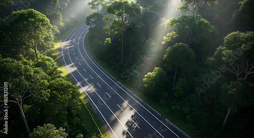 Winding Road Through Green Forest with Sunbeams, Aerial View