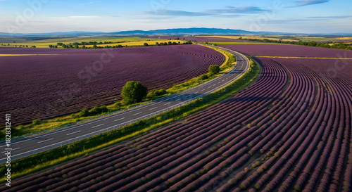 Lavender Fields Aerial View Scenic Country Road France Purple Flowers Landscape