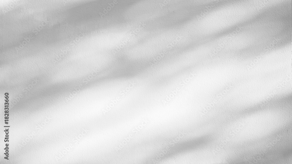 Obraz premium Minimal white background with sunlight superimposed shadow leaves on the wall. autumn background template for product presentation concept
