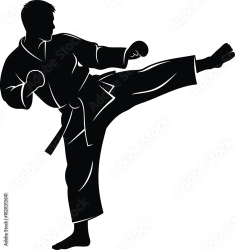 Black silhouette of a man performing a martial arts kick in a gi karate