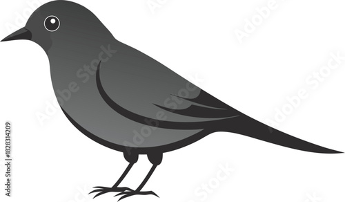 Simple illustration of a black bird standing on white background