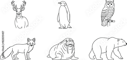 Wild forest and arctic animals vector set including deer, penguin, owl, fox, walrus, polar bear in black and white