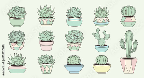 Hand-drawn set of different cute cacti and succulents in colorful pots illustration