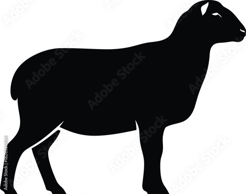 Black sheep silhouette standing on white background in profile view