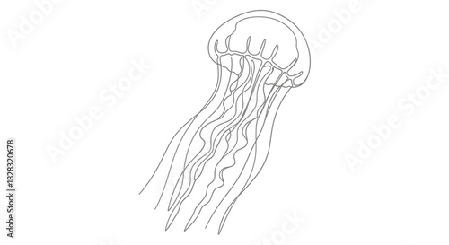 Elegant single line drawing of a jellyfish creating an ocean inspired illustration
