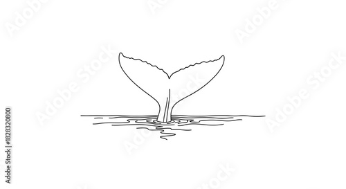 Elegant minimalist illustration of a whale tail rising from the ocean surface