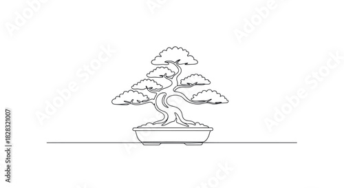 Elegant bonsai tree in minimalist single line drawing on white background