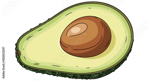 Detailed illustration of a halved avocado with visible seed on a white background