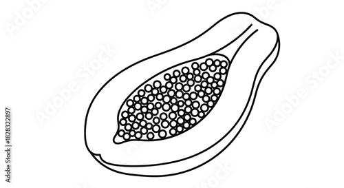 Black and white line art illustration of a papaya fruit cut in half, showing the cluster of seeds inside, ready for coloring.