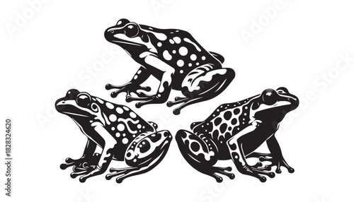 black color frogs animal silhouette vector illustration, solid white background