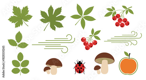 Collection of autumn-themed vector elements including various leaves, rowan berries, mushrooms, a ladybug, an apple, and wind swirls.