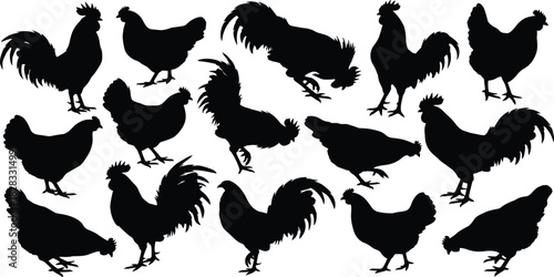 Chicken and rooster silhouette icon set, expressive black poultry poses for farm life, rustic charm, and animal design