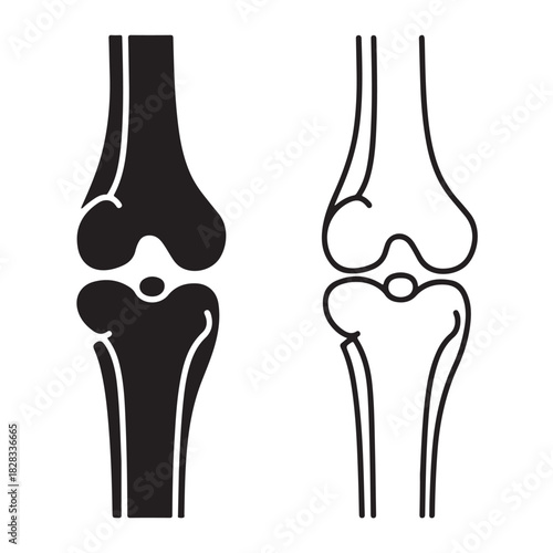 Knee joint vector illustration medical diagram in flat design isolated on white background