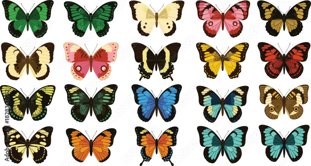 Fototapeta premium Vibrant and Diverse Butterfly Collection Vector Set Showcasing Various Species and Wing Patterns in Bold Colors, Perfect for Spring, Nature, and Decorative Design Projects