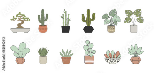 Indoor house plants vector collection set of potted succulents cactus and bonsai minimal drawing.