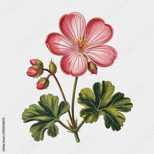 This beautifully detailed illustration features a blooming flower accompanied by buds and lush green leaves, celebrating the elegance of nature and botany.