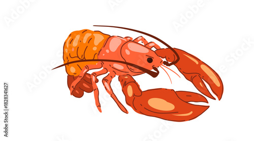Lobster with claws, fresh seafood. Marine animal with claws. Crustacean, sea food, underwater crayfish. Flat vector illustration isolated on white background
