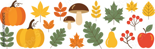 Flat Autumn Harvest Vector Collection Set Featuring Pumpkins, Maple and Oak Leaves, Mushrooms, Red Berries, Apples, and Pears, Ideal for Fall Seasonal Design and Greeting Cards
