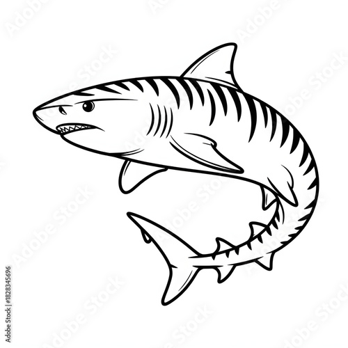 “Tiger Shark Coloring Page Line Art”