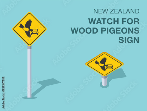 Traffic regulation rules. Isolated New Zealand "watch for wood pigeons" road sign. Front and top view. Flat vector illustration template.