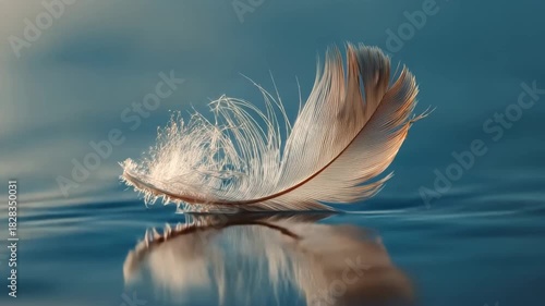 Floating feather showcases delicate beauty while reflecting serene water, capturing tranquility in nature's embrace during calm moments at dawn