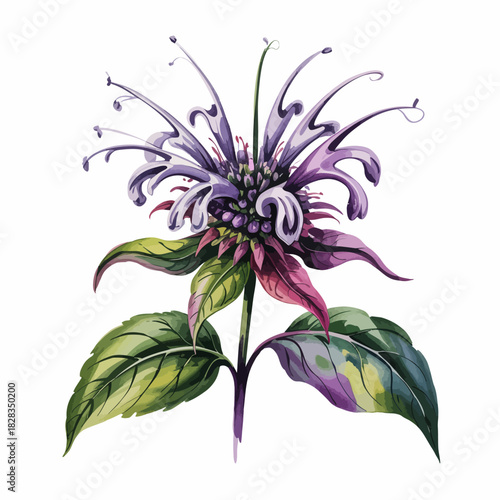 A striking illustration of a purple flower with intricate petal designs, set against bright green leaves, showcasing nature's beauty and artistry in a unique style.