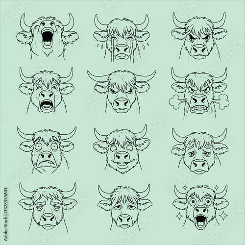 Diverse highland cattle facial expressions
