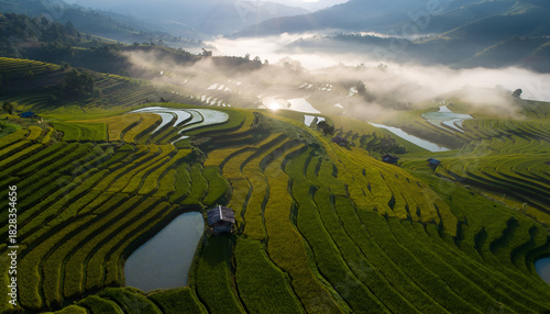 Lush Green Rice Terraces Illuminated by Golden Morning Sunlight with Wisps of Fog Rolling Through the Lush Green Valleys of Southeast Asia