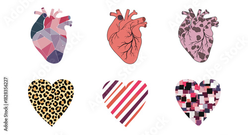 Unique anatomical heart and heart shape designs for Valentine's Day or health promotion graphics, showcasing love and health in a modern way
