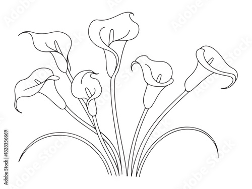 Elegant calla lily bouquet in black and white line art illustration design