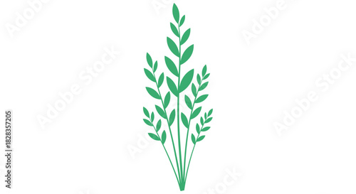 Fresh green sprig for modern eco designs, plant life illustration for spring, summer, or nature-inspired projects, adding a vibrant touch