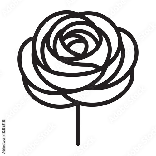 Elegant Rose Outline Illustration Romantic Blossom Floral Design Delicate Beauty Isolated Simple