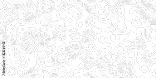 Minimal white line geometric grid outline curve counter map and wavy topography relief discovery area white, black line texture background.	