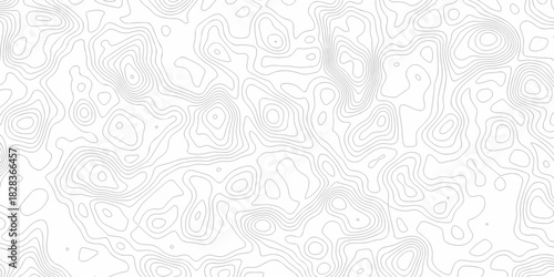 Minimal white line geometric grid outline curve counter map and wavy topography relief discovery area white, black line texture background.	