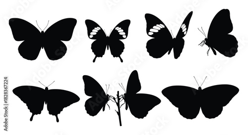 Butterfly silhouettes, showcasing different wing shapes and poses
