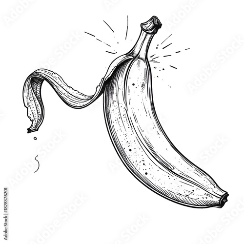 Black And White Pen Drawing Of A Banana With A Peel Partially Removed And Water Droplets Falling Off Its End