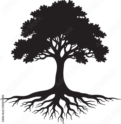 Black silhouette of a mature tree with exposed roots